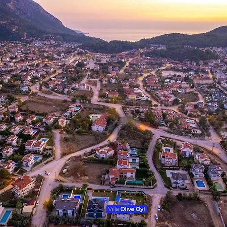 Olive Oyl - With Private Pool For 6 People In Hisaronue Villa *
