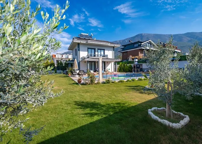 Willa Olive Oyl - With Private Pool For 6 People In Hisaronue