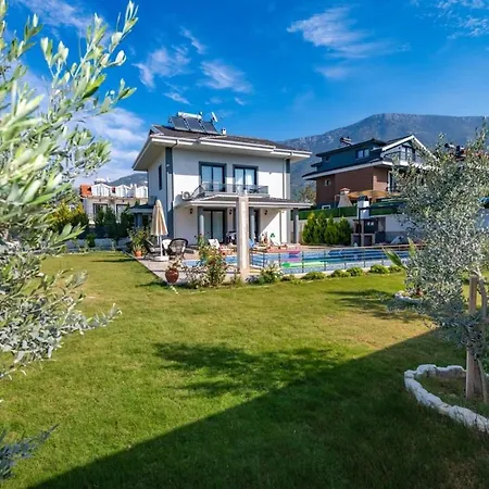 Vilă Olive Oyl - With Private Pool For 6 People In Hisaronue